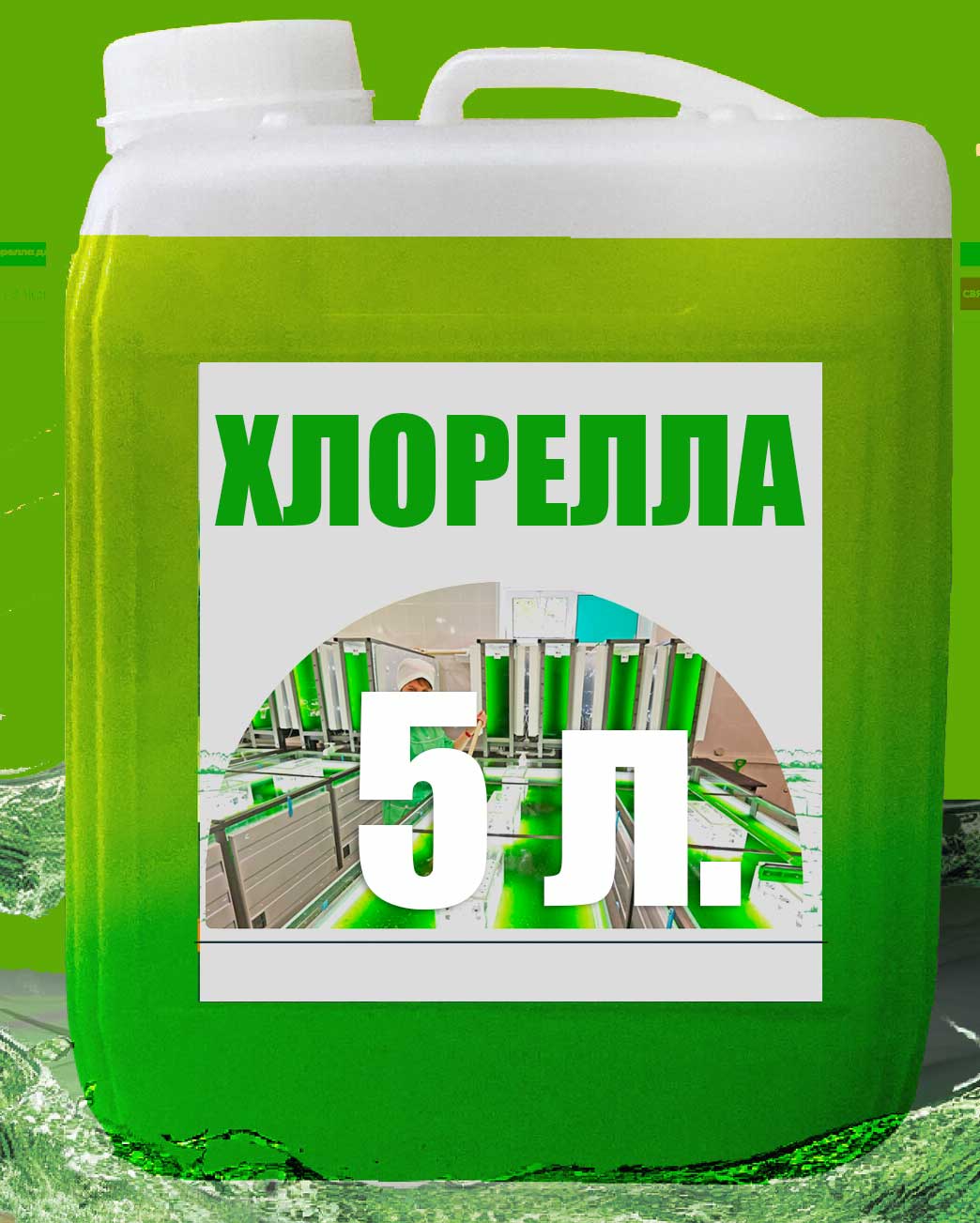 Хлорелла поглощает углекислый газ, т.к. питается именно им и насыщает воду кислородом, т.к. развивается с преобразованием углекислого газа в кислород, активизирует деятельность аэробных бактерий, которые перерабатывают органические остатки и скопившийся ил. Подавляет процессы гниения и патогенную микрофлору. Вытесняет цианобактерии. Устраняет мутность и улучшает цветность водоёма, избавляет его от заморов. В отличии от других типов водорослей, хлорелла не образует видимых скоплений и колоний, поэтому она не видна невооруженным глазом, но производит значительное улучшение качества воды. Уже через 14 дней можно наблюдать осветление воды, существенное улучшение её качеств.