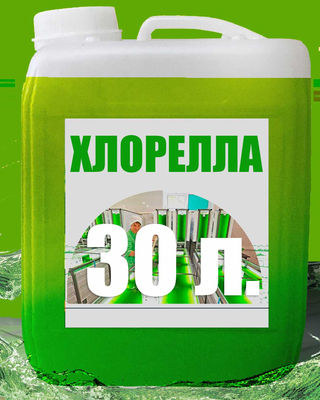 Хлорелла крупным планом